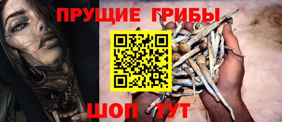 Мценск  Псилоцибиновые грибы Cubensis  Вход с VPN  Галлюциногенные грибы ЛСД 